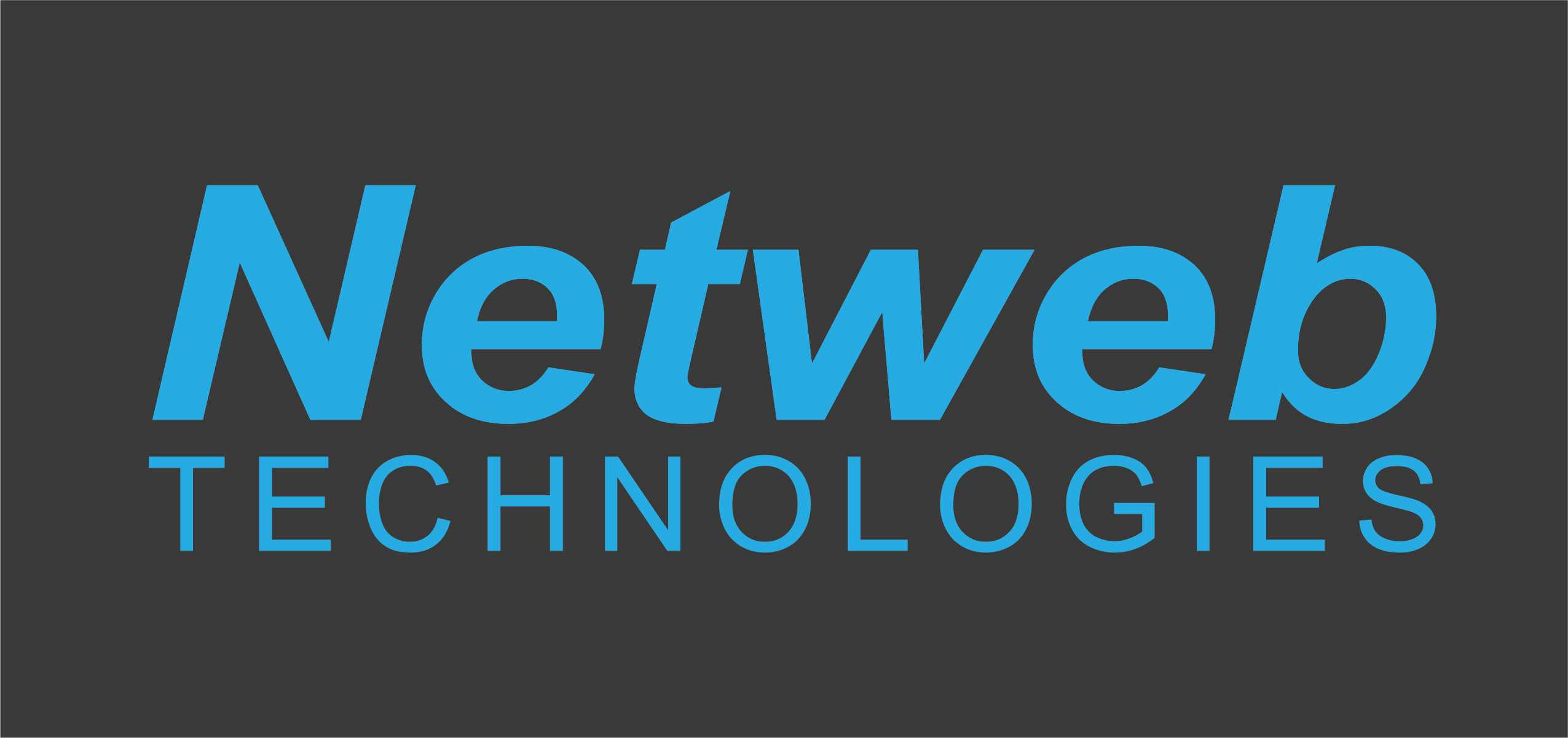netweb-technologies-logo